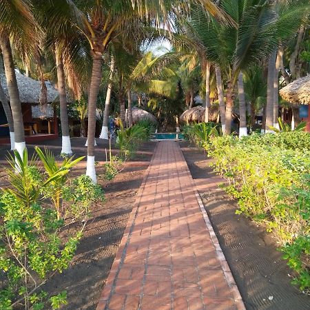 Hotel Pez De Oro مونتيريكو المظهر الخارجي الصورة