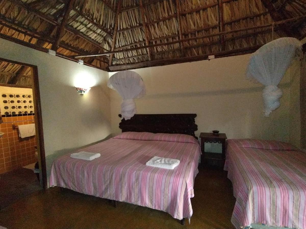 Hotel Pez De Oro مونتيريكو المظهر الخارجي الصورة